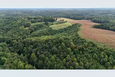 00 Turkey Ford Road, Dobson, NC 27017 - Photo 15