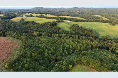 00 Turkey Ford Road, Dobson, NC 27017 - Photo 3
