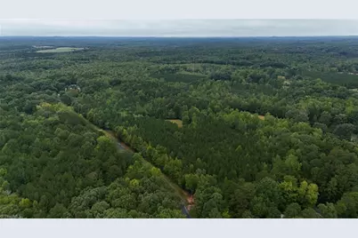 170 Greentop Road, Star, NC 27356 - Photo 17