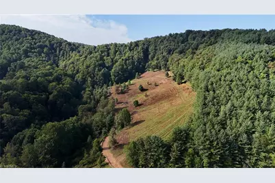 00 Lot 103 Irwin Grocery Road, Laurel Springs, NC 28644 - Photo 1