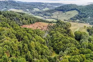 00 Lot 106 Irwin Grocery Rd, Laurel Springs, NC 28644 - Photo 1