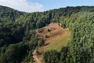 00 Lot 105 Irwin Grocery Rd, Laurel Springs, NC 28644 - Photo 1