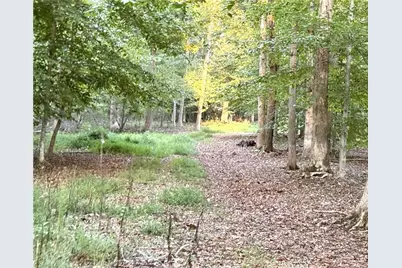 1210 Nicky Lane, Danbury, NC 27016 - Photo 23