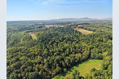 1210 Nicky Lane, Danbury, NC 27016 - Photo 15