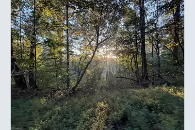 1210 Nicky Lane, Danbury, NC 27016 - Photo 33