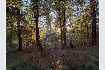 1210 Nicky Lane, Danbury, NC 27016 - Photo 35