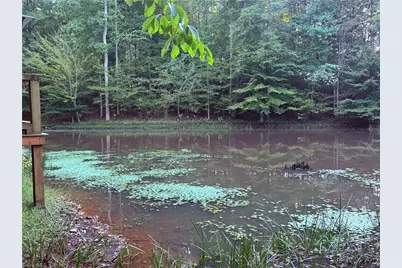 1210 Nicky Lane, Danbury, NC 27016 - Photo 25