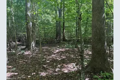 000 Sandy Cross Road, Reidsville, NC 27320 - Photo 37