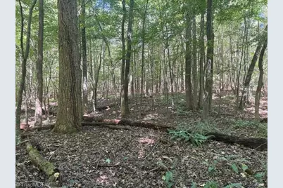 000 Sandy Cross Road, Reidsville, NC 27320 - Photo 35