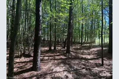000 Sandy Cross Road, Reidsville, NC 27320 - Photo 47