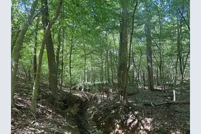 000 Sandy Cross Road, Reidsville, NC 27320 - Photo 33