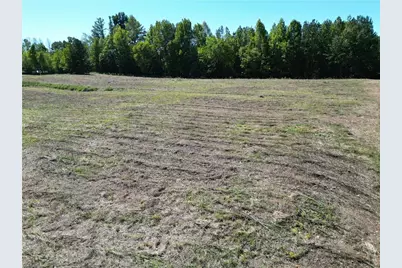 000 Sandy Cross Road, Reidsville, NC 27320 - Photo 3
