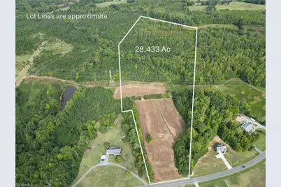 000 Sandy Cross Road, Reidsville, NC 27320 - Photo 1