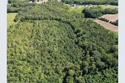 000 Sandy Cross Road, Reidsville, NC 27320 - Photo 15