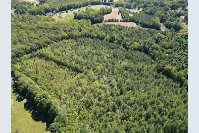 000 Sandy Cross Road, Reidsville, NC 27320 - Photo 13