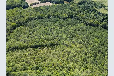000 Sandy Cross Road, Reidsville, NC 27320 - Photo 11