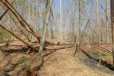 8 Old Mill Road, Pinnacle, NC 27043 - Photo 13