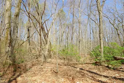 8 Old Mill Road, Pinnacle, NC 27043 - Photo 11