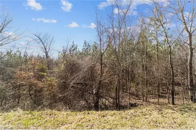 2626 Minden Road, Pleasant Garden, NC 27313 - Photo 9