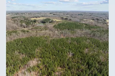 2638 Minden Road, Pleasant Garden, NC 27313 - Photo 9