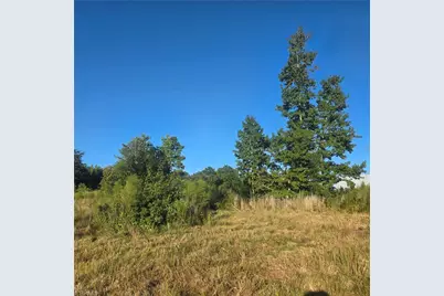 3655 Mack Lineberry Road, Franklinville, NC 27248 - Photo 5