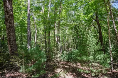 00 Sutters Ridge Road, McGrady, NC 28649 - Photo 15