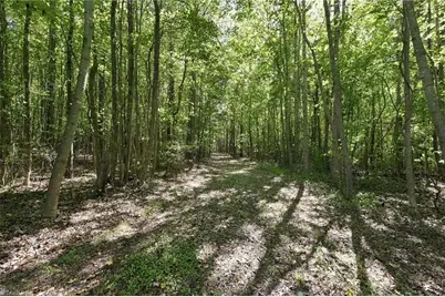 4416 McConnell Road, McLeansville, NC 27301 - Photo 5