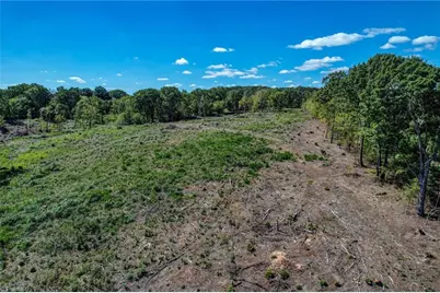 0 Wolf Island Road, Reidsville, NC 27320 - Photo 13