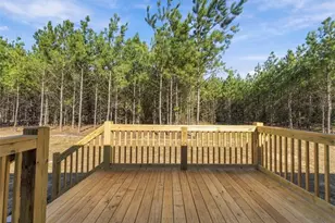 865 Windblow Rd, Jackson Springs, NC 27281 - Photo 23
