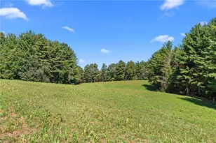 1295 Phipps Dairy Rd, Piney Creek, NC 28663 - Photo 31