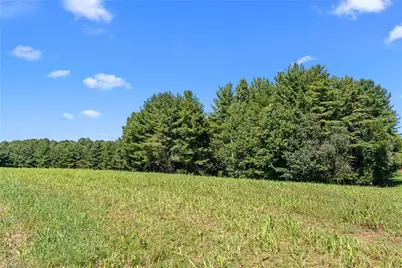 1295 Phipps Dairy Road, Piney Creek, NC 28663 - Photo 33