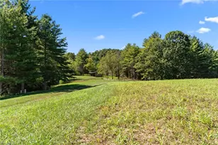 1295 Phipps Dairy Rd, Piney Creek, NC 28663 - Photo 37