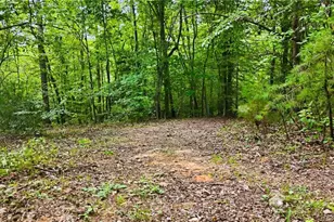 834 Germantown Rd, Wilkesboro, NC 28697 - Photo 45