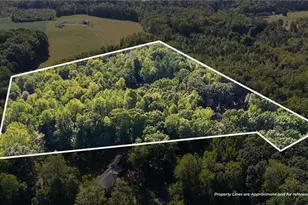5665 Baptist Assembly Rd, Julian, NC 27283 - Photo 3
