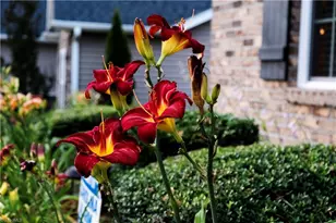 5158 Moseley Dr, Clemmons, NC 27012 - Photo 21