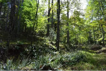 1541-1345 Nc Highway 89 W Tract# 1 - 97.86 ac, Danbury, NC 27016 - Photo 37