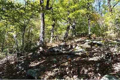 1541-1345 Nc Highway 89 W Tract# 1 - 97.86 ac, Danbury, NC 27016 - Photo 11