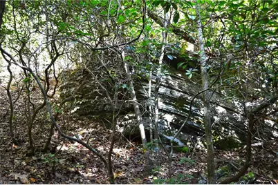 1541-1345 Nc Highway 89 W Tract# 1 - 97.86 ac, Danbury, NC 27016 - Photo 13