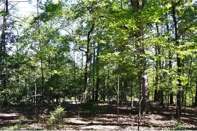 1541-1345 Nc Highway 89 W Tract# 1 - 97.86 ac, Danbury, NC 27016 - Photo 19