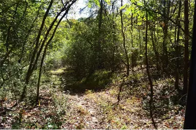 1541-1345 Nc Highway 89 W Tract# 1 - 97.86 ac, Danbury, NC 27016 - Photo 23