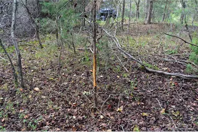 1541-1345 Nc Highway 89 W Tract# 1 - 97.86 ac, Danbury, NC 27016 - Photo 29