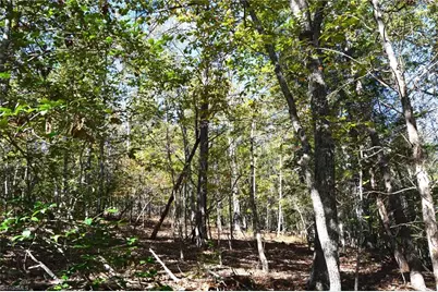 1541-1345 Nc Highway 89 W Tract# 1 - 97.86 ac, Danbury, NC 27016 - Photo 9