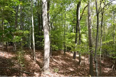 1541-1345 Nc Highway 89 W Tract# 1 - 97.86 ac, Danbury, NC 27016 - Photo 27