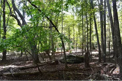 1541-1345 Nc Highway 89 W Tract# 1 - 97.86 ac, Danbury, NC 27016 - Photo 35