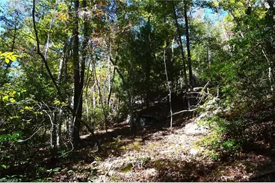 1541-1345 Nc Highway 89 W Tract# 1 - 97.86 ac, Danbury, NC 27016 - Photo 17