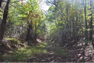 1541-1345 Nc Highway 89 W Tract# 1 - 97.86 ac, Danbury, NC 27016 - Photo 25