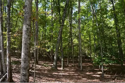 1541-1345 Nc Highway 89 W Tract# 1 - 97.86 ac, Danbury, NC 27016 - Photo 31
