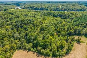 500 Monroe Davis Ln, Pinnacle, NC 27043 - Photo 43