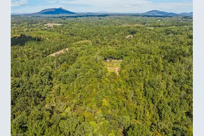 500 Monroe Davis Lane, Pinnacle, NC 27043 - Photo 45
