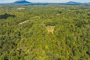 500 Monroe Davis Ln, Pinnacle, NC 27043 - Photo 45